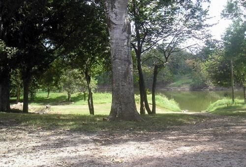Colorado River Rv Campground Колумбус Екстер'єр фото