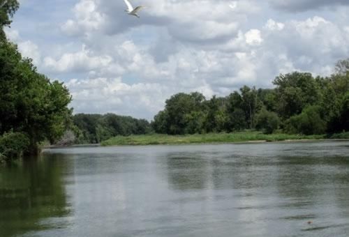 Colorado River Rv Campground Колумбус Екстер'єр фото